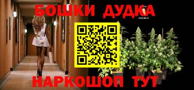ГАЛЛЮЦИНОГЕННЫЕ ГРИБЫ Нальчик