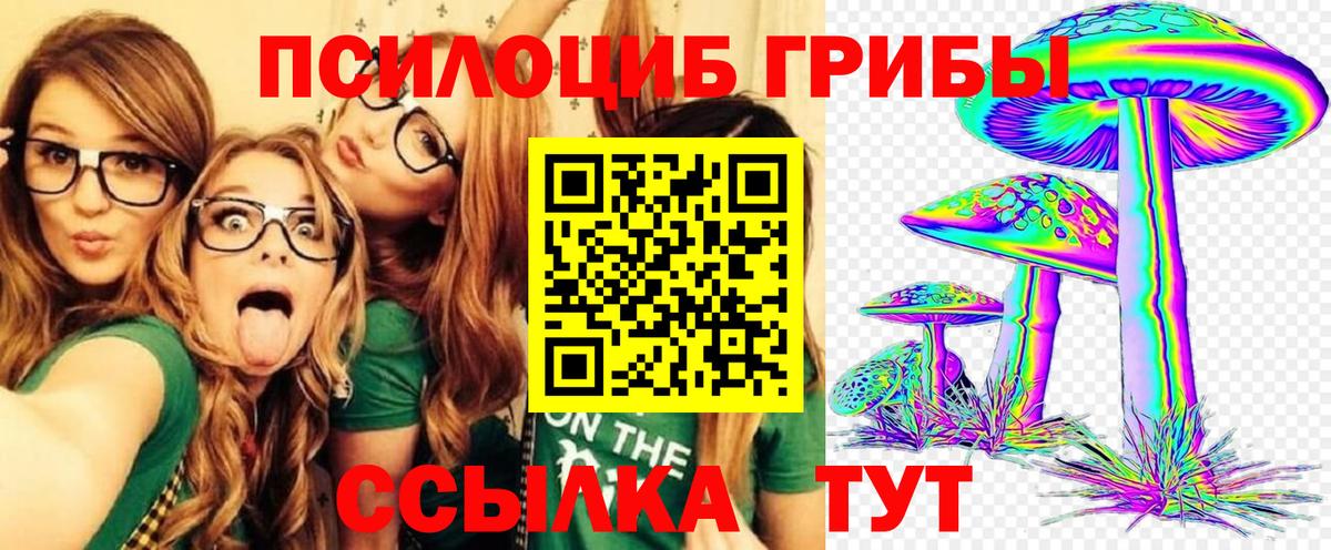 как найти закладки  Вход с VPN  Тайшет  Галлюциногенные грибы Psilocybine cubensis 