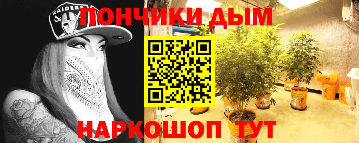 Тайшет  Шишки марихуана VHQ  МАРИХУАНА Ganja  Бошки Шишки планчик  Вход с VPN 